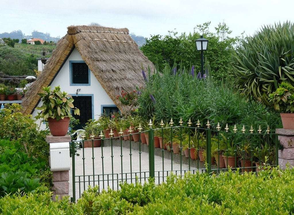 Protéger le jardin des nuisibles avec des méthodes naturelles