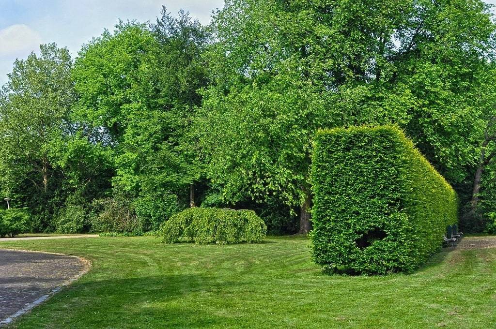 Pourquoi solliciter un paysagiste dans la Creuse ?